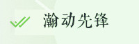 合作伙伴